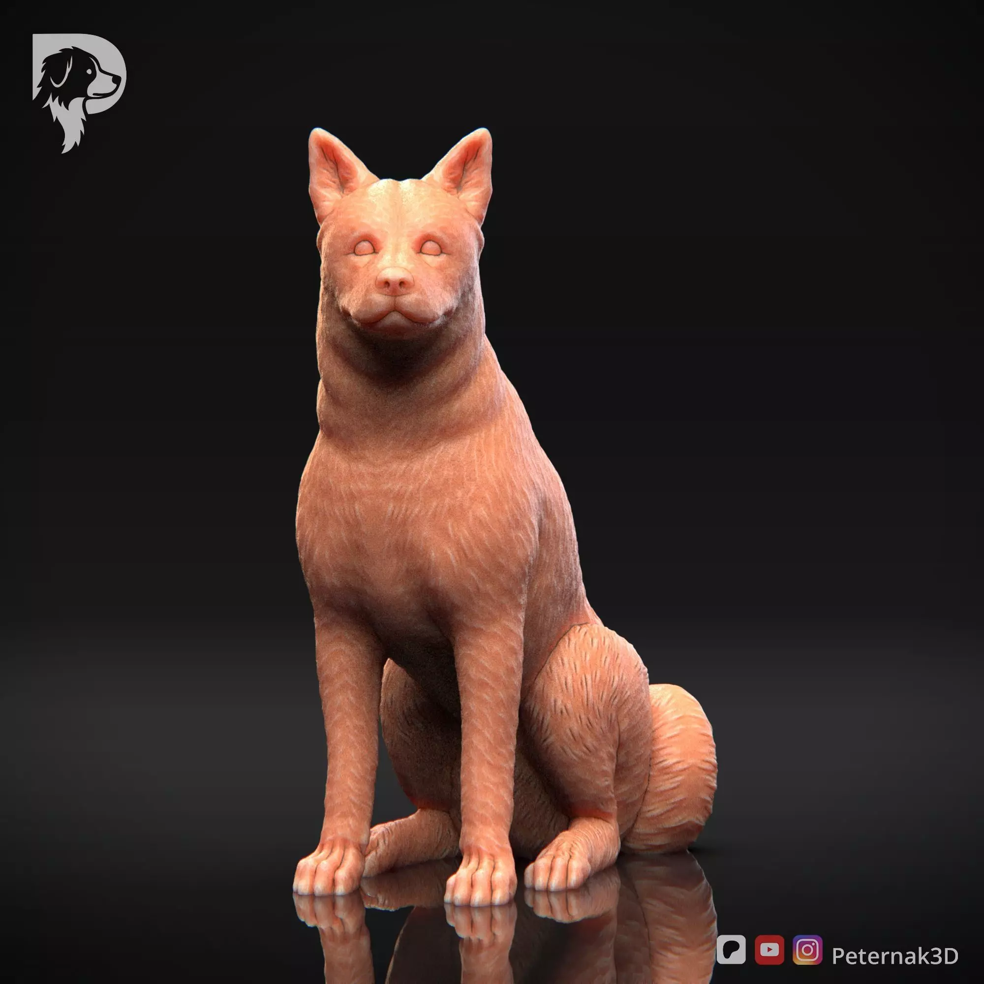 Dog 3D Print Model Canaan Dog Pose 05 Ready STL 3D print model_2