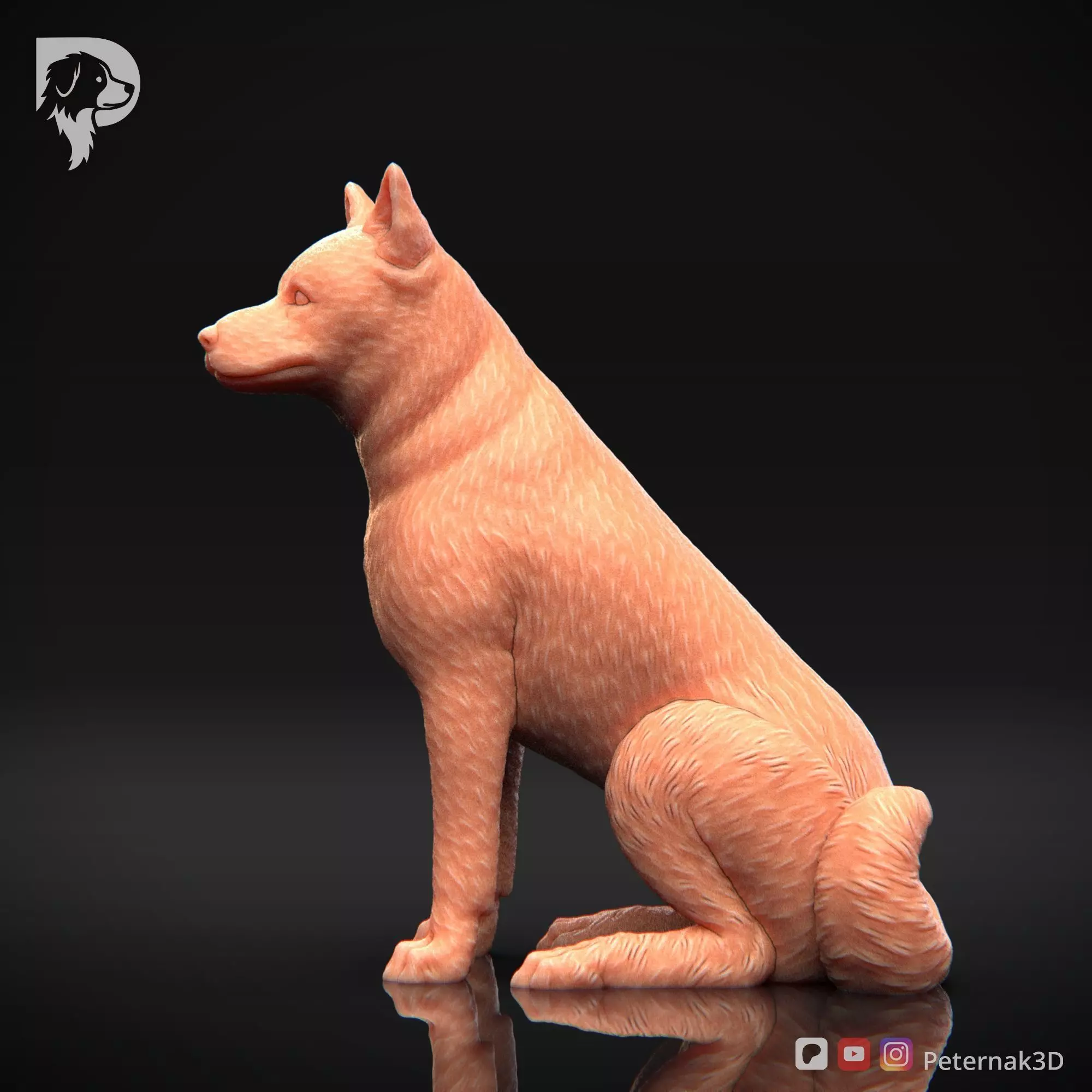 Dog 3D Print Model Canaan Dog Pose 05 Ready STL 3D print model_10