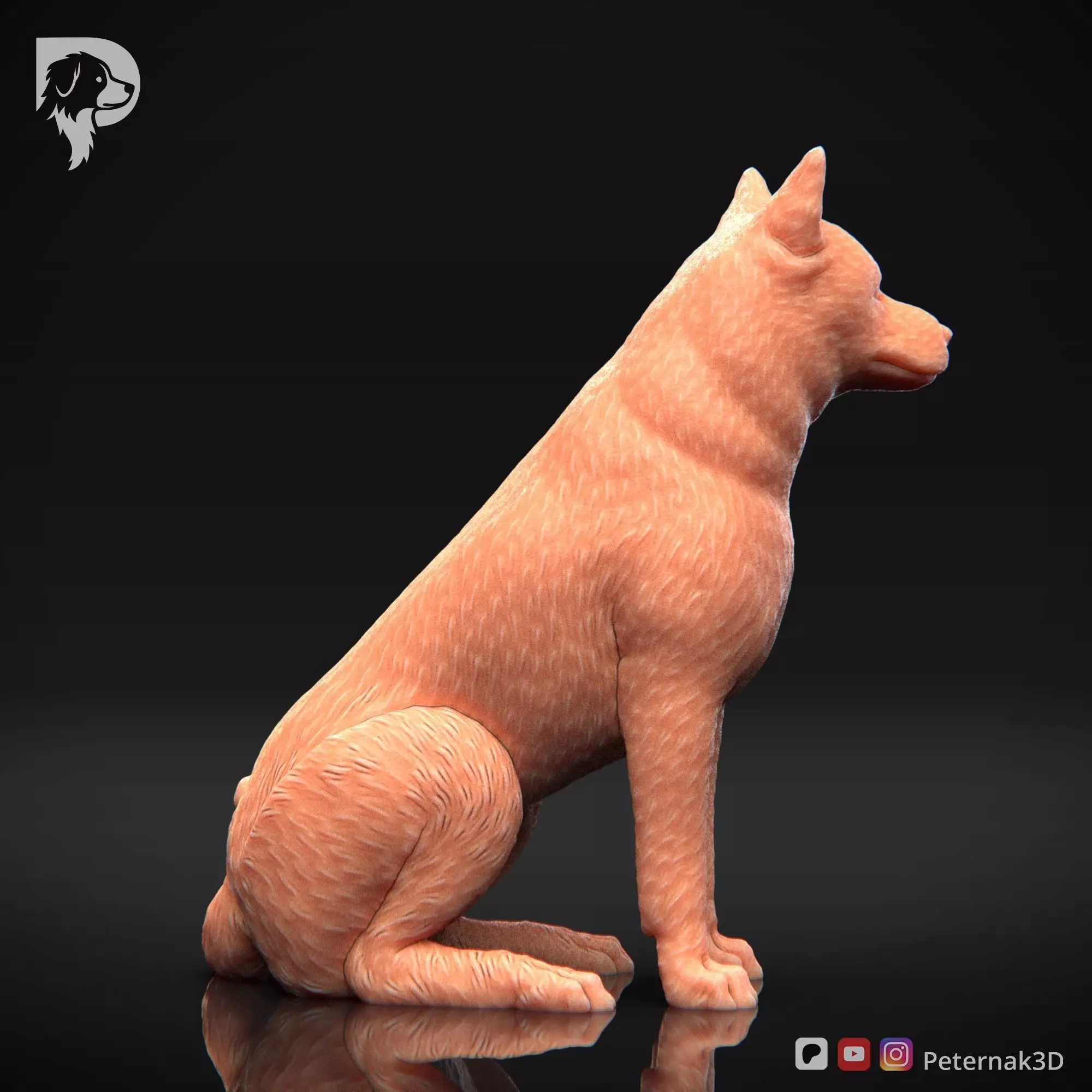 Dog 3D Print Model Canaan Dog Pose 05 Ready STL 3D print model_5