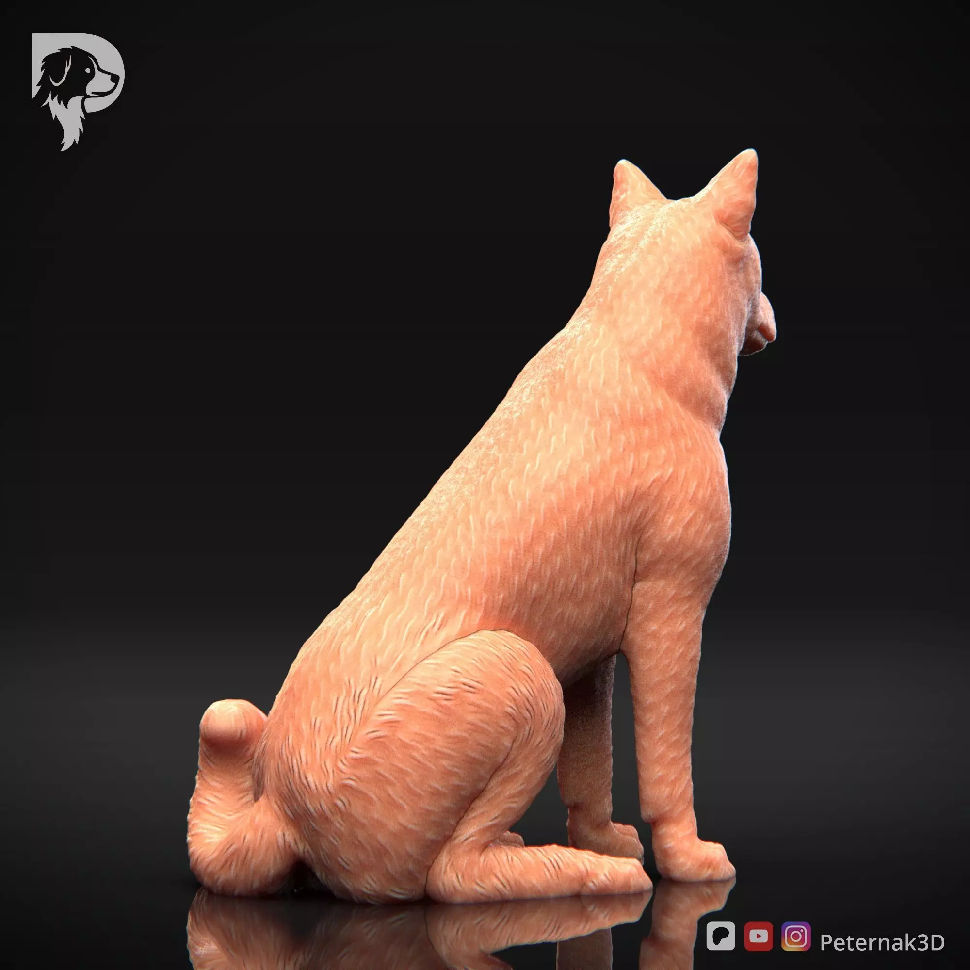 Dog 3D Print Model Canaan Dog Pose 05 Ready STL 3D print model_6