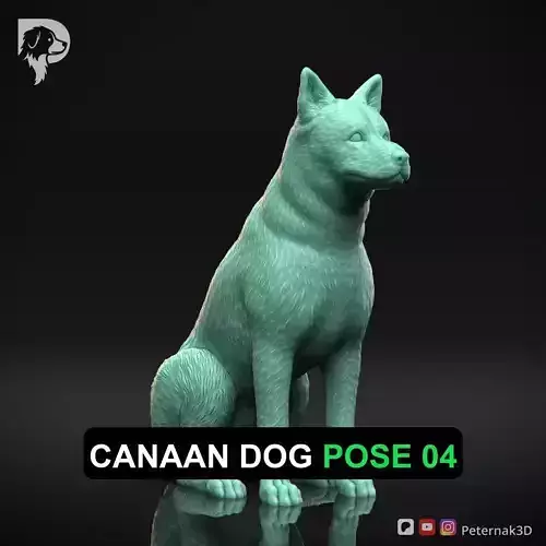Dog 3D Print Model Canaan Dog Pose 04 Ready STL