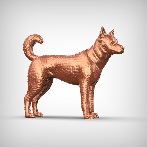 Canaan Dog 3D Print Model Pose 03 3D print model