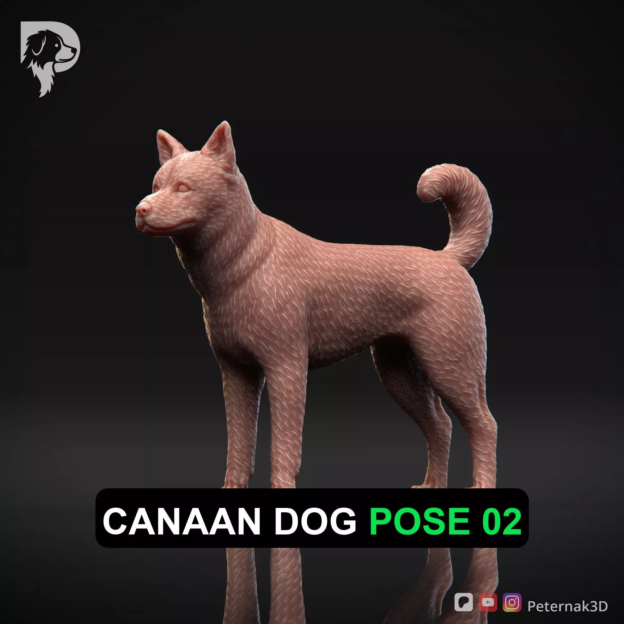 Dog 3D Print Model Canaan Dog Pose 02 Ready STL 3D print model