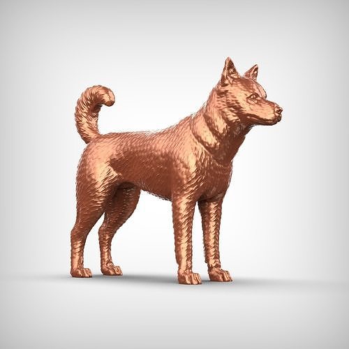 Canaan Dog 3D Print Model Pose 01 3D print model