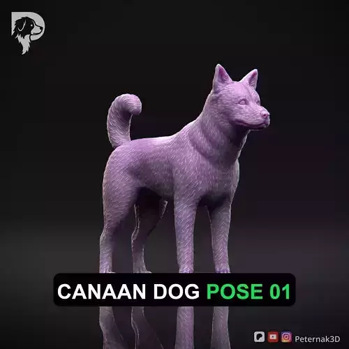 Dog 3D Print Model Canaan Dog Pose 01 Ready STL