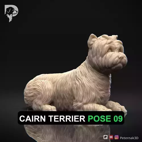 Dog 3D Print Model Cairn Terrier Dog Pose 09 Ready STL