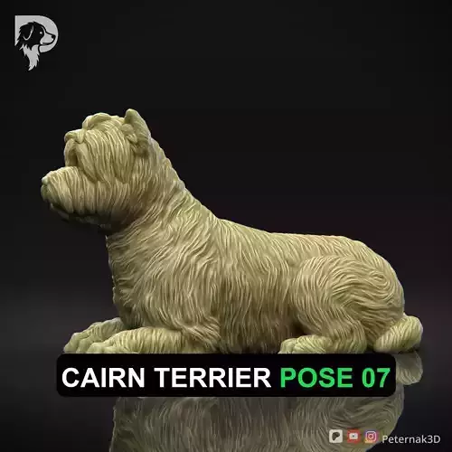 Dog 3D Print Model Cairn Terrier Dog Pose 07 Ready STL