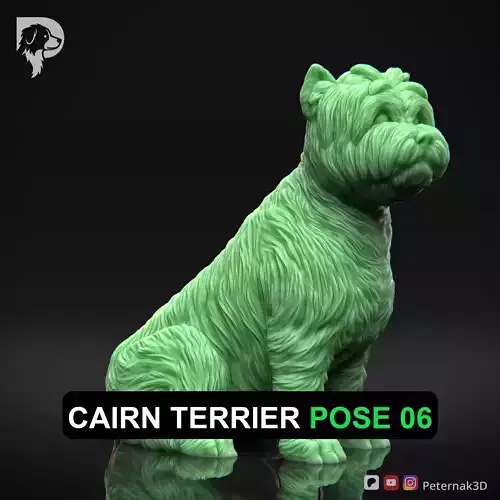 Dog 3D Print Model Cairn Terrier Dog Pose 06 Ready STL