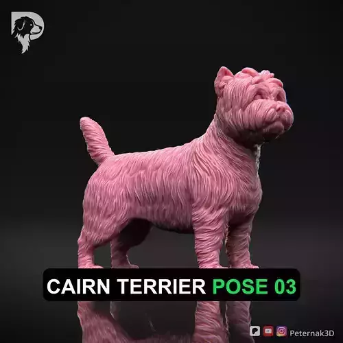 Dog 3D Print Model Cairn Terrier Dog Pose 03 Ready STL
