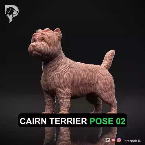 Dog 3D Print Model Cairn Terrier Dog Pose 02 Ready STL