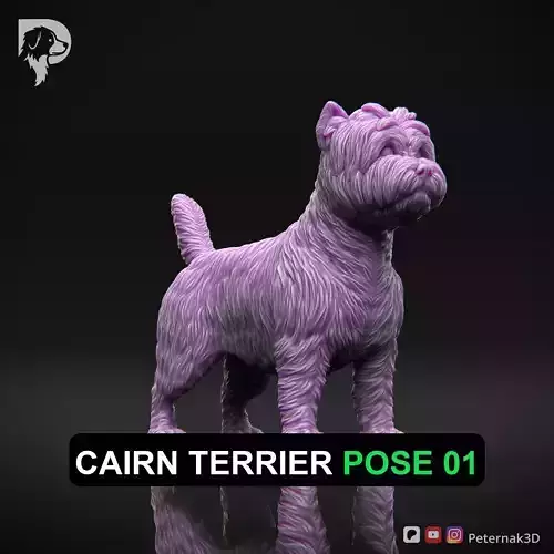 Dog 3D Print Model Cairn Terrier Dog Pose 01 Ready STL