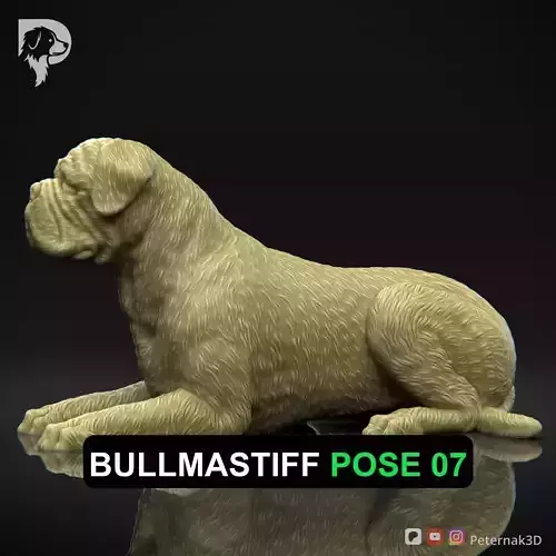 Dog 3D Print Model Bullmastiff Dog Pose 07 Ready STL