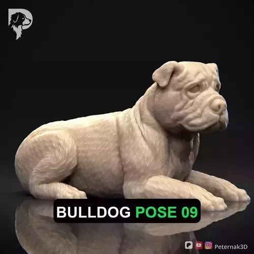 Dog 3D Print Model Bulldog Dog Pose 09 Ready STL