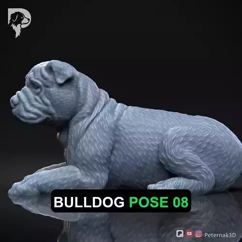Dog 3D Print Model Bulldog Dog Pose 08 Ready STL