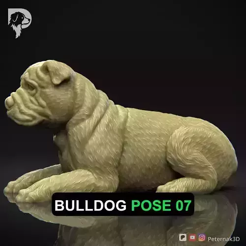 Dog 3D Print Model Bulldog Dog Pose 07 Ready STL