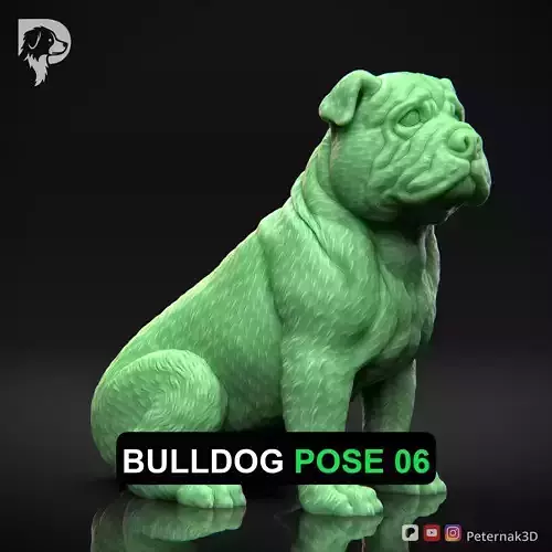 Dog 3D Print Model Bulldog Dog Pose 06 Ready STL