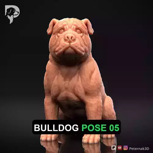 Dog 3D Print Model Bulldog Dog Pose 05 Ready STL