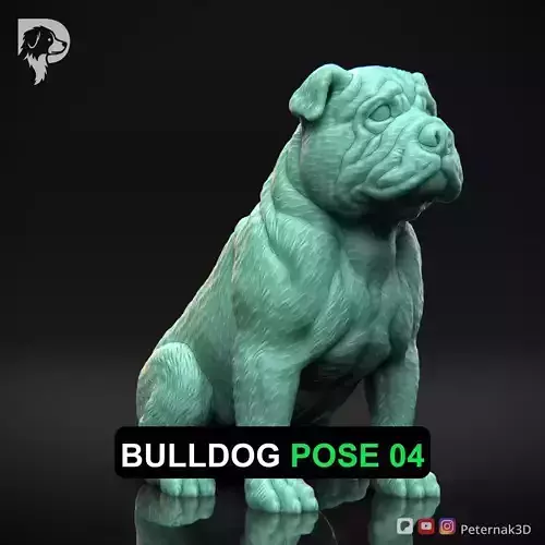 Dog 3D Print Model Bulldog Dog Pose 04 Ready STL
