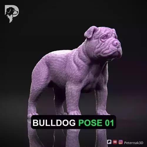 Dog 3D Print Model Bulldog Dog Pose 01 Ready STL