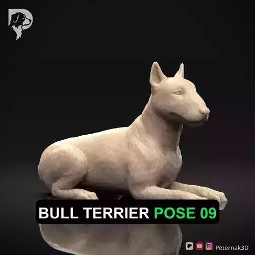 Dog 3D Print Model Bull Terrier Dog Pose 09 Ready STL