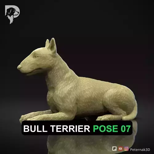 Dog 3D Print Model Bull Terrier Dog Pose 07 Ready STL