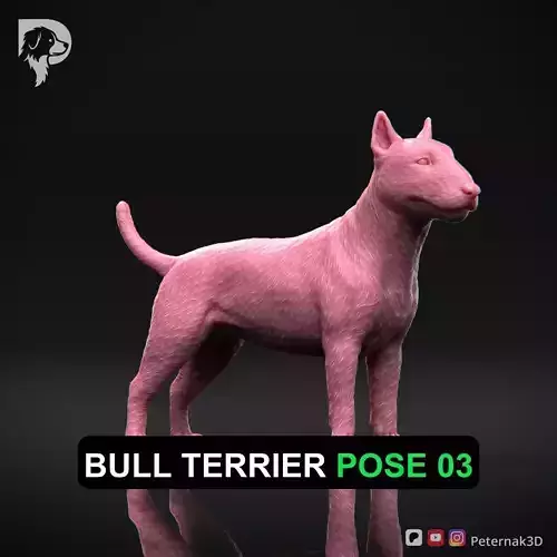 Dog 3D Print Model Bull Terrier Dog Pose 03 Ready STL