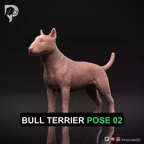 Dog 3D Print Model Bull Terrier Dog Pose 02 Ready STL