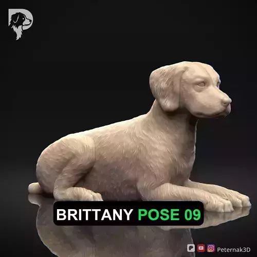 Dog 3D Print Model Brittany Dog Pose 09 Ready STL
