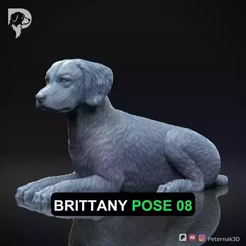 Dog 3D Print Model Brittany Dog Pose 08 Ready STL