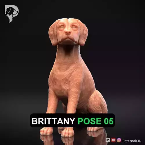 Dog 3D Print Model Brittany Dog Pose 05 Ready STL