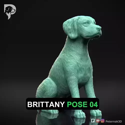Dog 3D Print Model Brittany Dog Pose 04 Ready STL