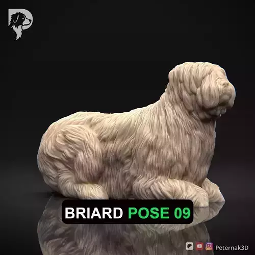 Dog 3D Print Model Briard Dog Pose 09 Ready STL