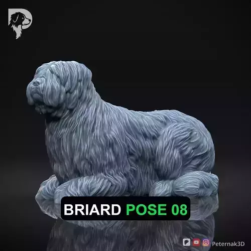 Dog 3D Print Model Briard Dog Pose 08 Ready STL