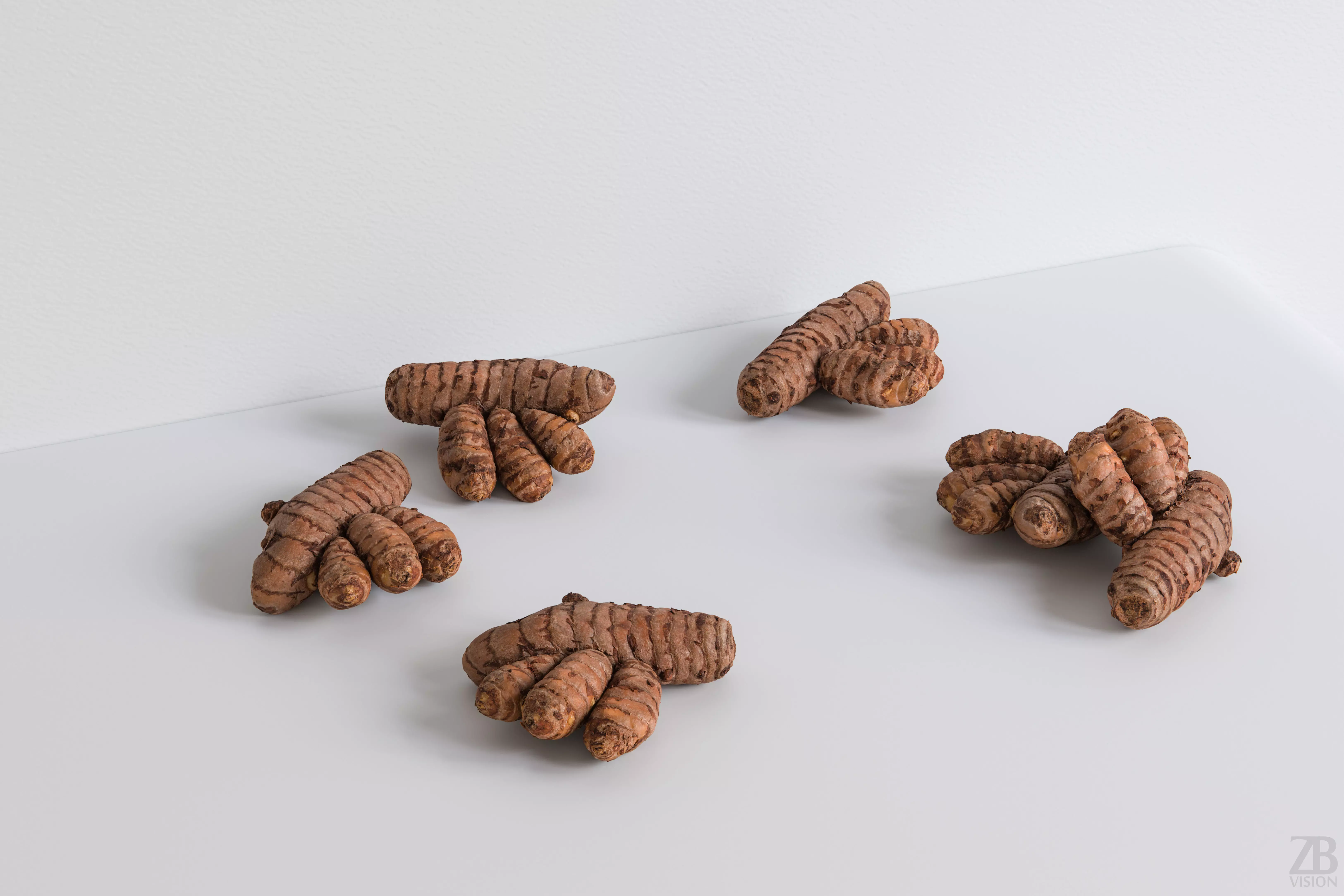 Turmeric 3D model