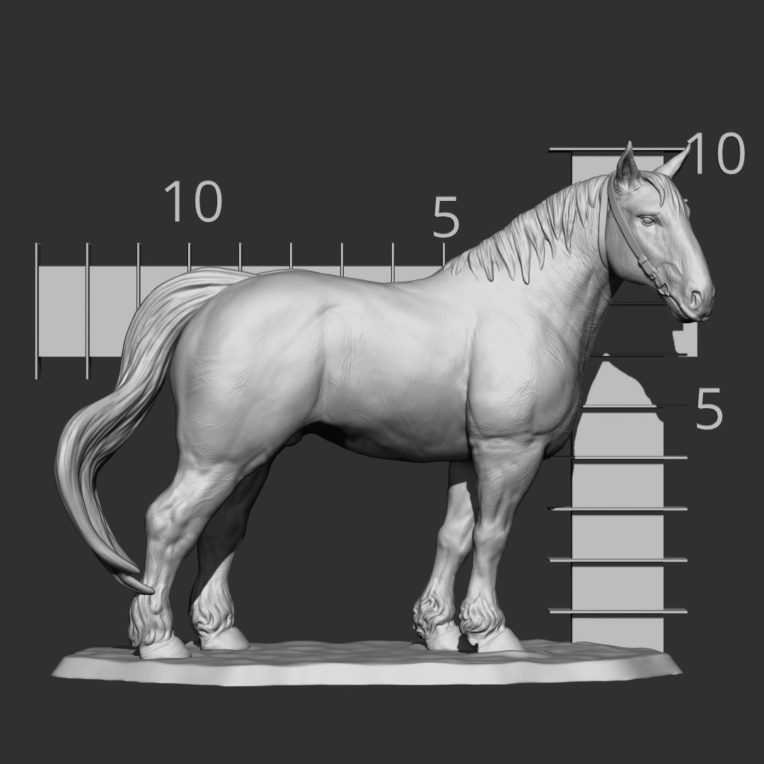 PERCHERON HOURSE 3D print model_1