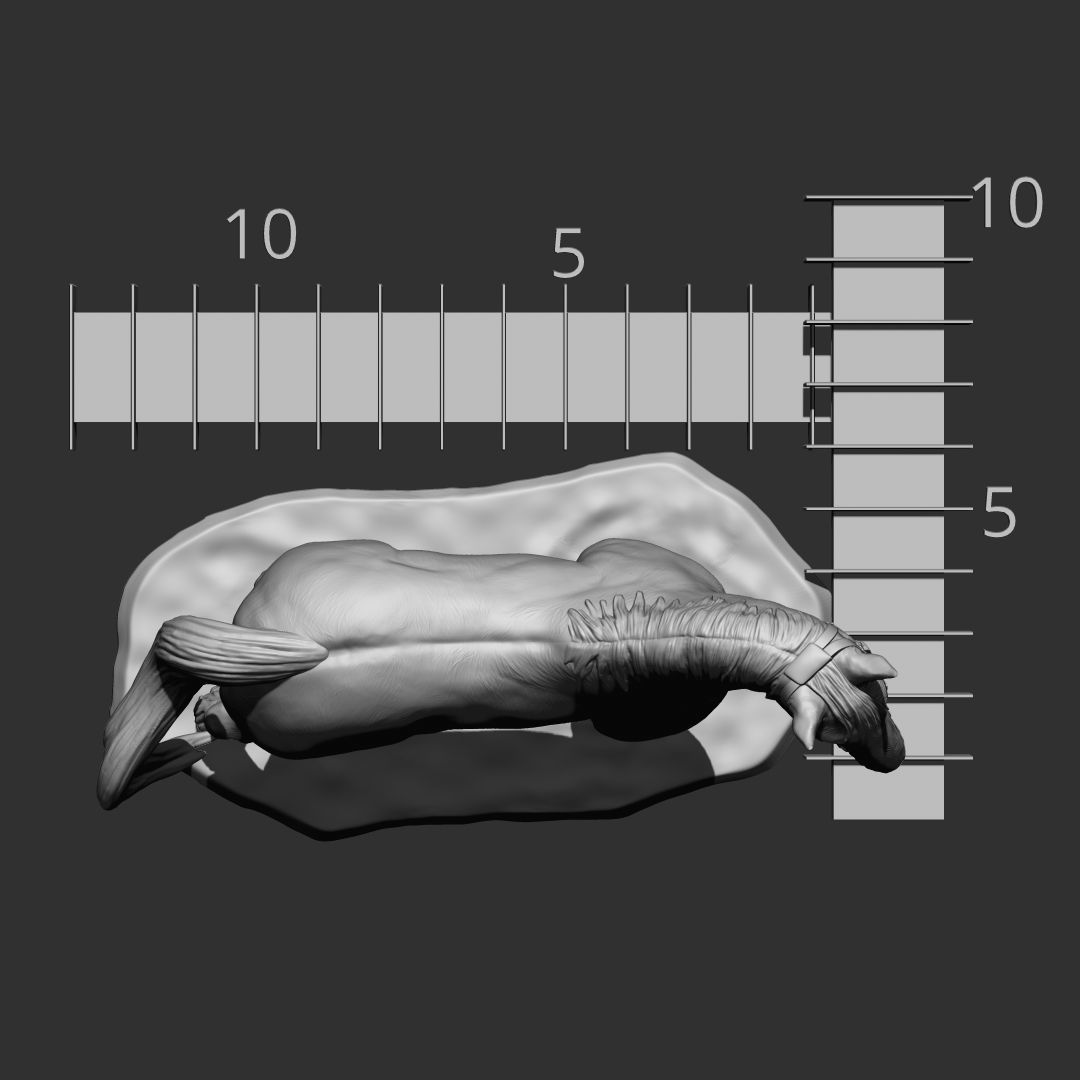 PERCHERON HOURSE 3D print model_2