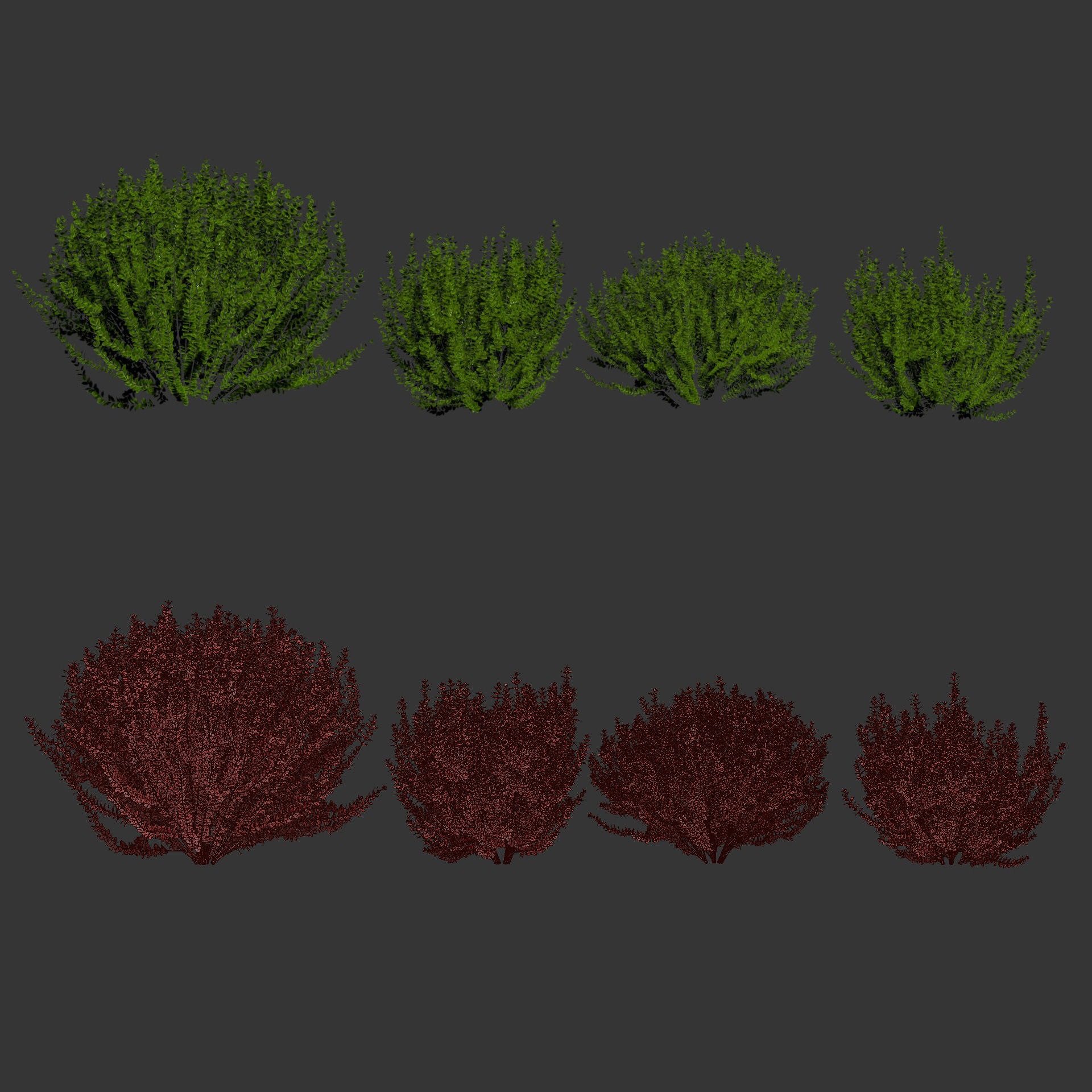 Evergreen Spindle Bushes collection vol 232 3D model_8