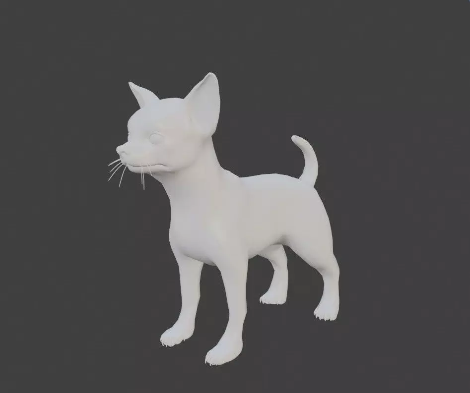 chihuahua dog base mesh 3D model_0