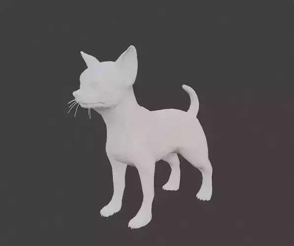 chihuahua dog base mesh