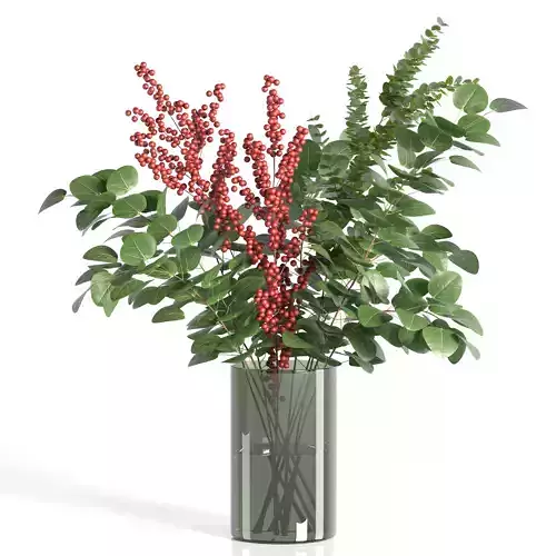 Decorative Plants 01