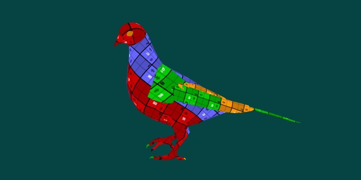 Lahore Pigeon Bird Low-poly 3D model_8