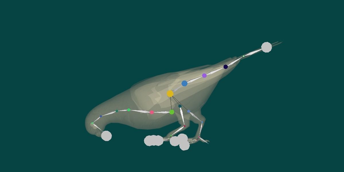 Lahore Pigeon Bird Low-poly 3D model_10