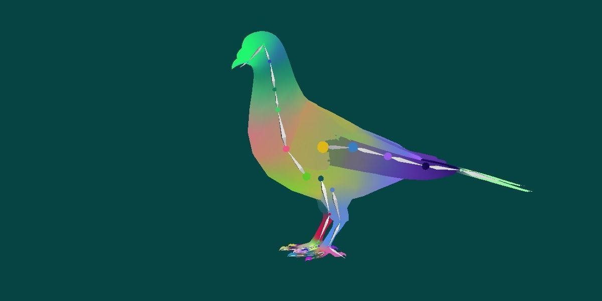 Lahore Pigeon Bird Low-poly 3D model_11