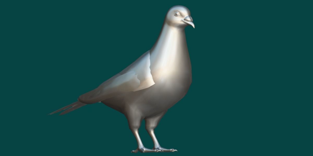 Lahore Pigeon Bird Low-poly 3D model_16