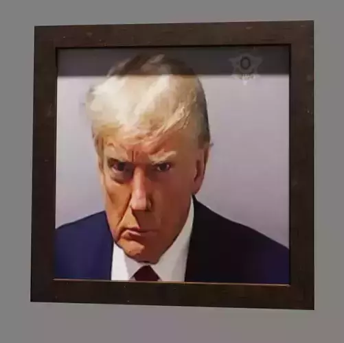 Donald Trump Mugshot Wall Picture