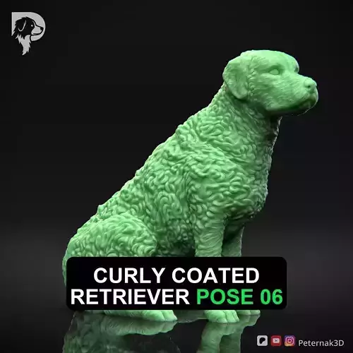 Dog 3D Print Model Curly Coated Retriever Dog Pose 06 Ready STL