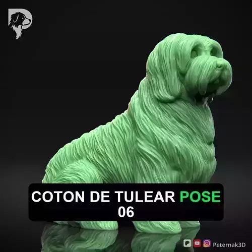 Dog 3D Print Model Coton De Tulear Dog Pose 06 Ready STL