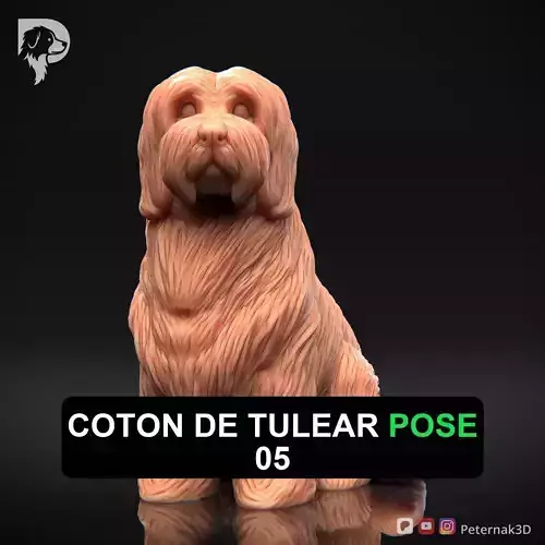 Dog 3D Print Model Coton De Tulear Dog Pose 05 Ready STL