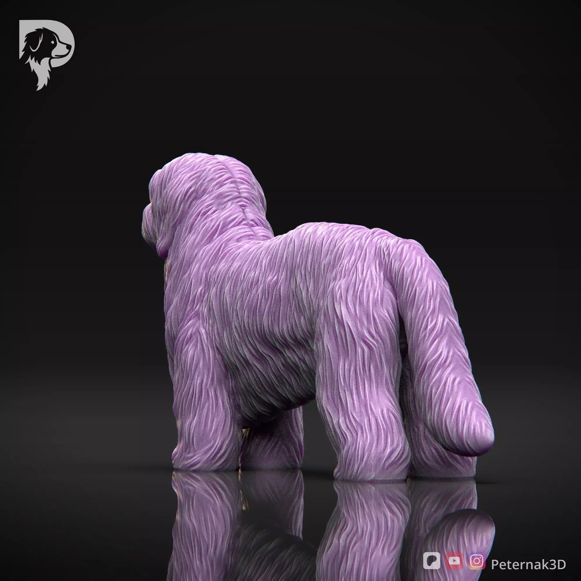 Dog 3D Print Model Coton De Tulear Dog Pose 01 Ready STL 3D print model_8