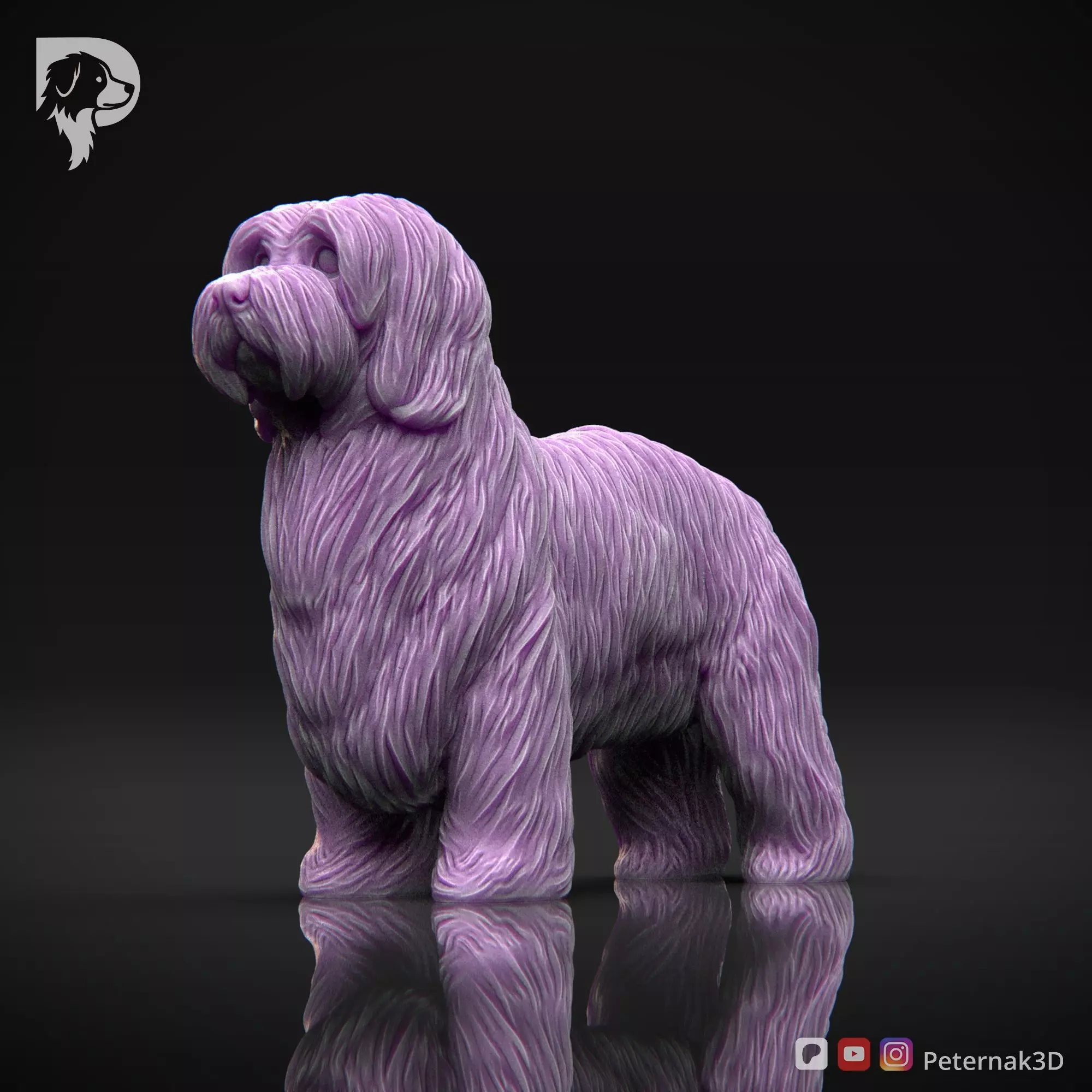 Dog 3D Print Model Coton De Tulear Dog Pose 01 Ready STL 3D print model_11